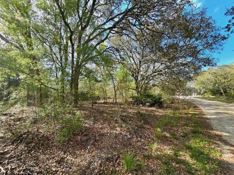 For Sale: $24,000 (1.02 acres)