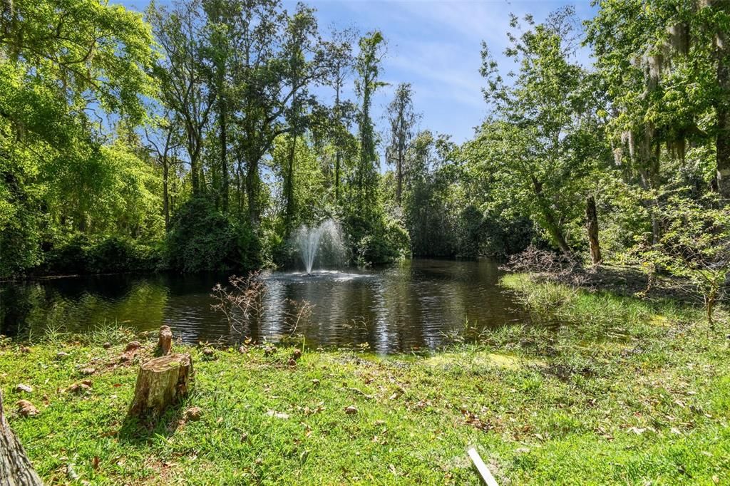 Pond on property