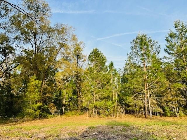 Recently Sold: $139,900 (10.08 acres)