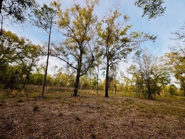 Recently Sold: $139,900 (10.08 acres)