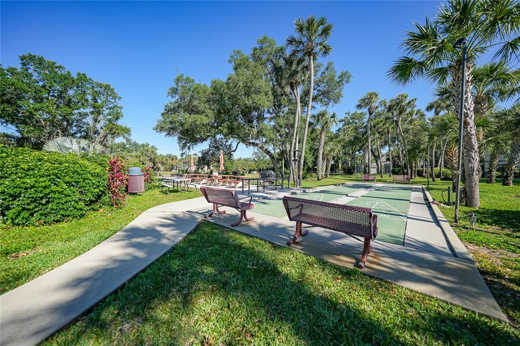 Shuffleboard and picnic area with BBQ