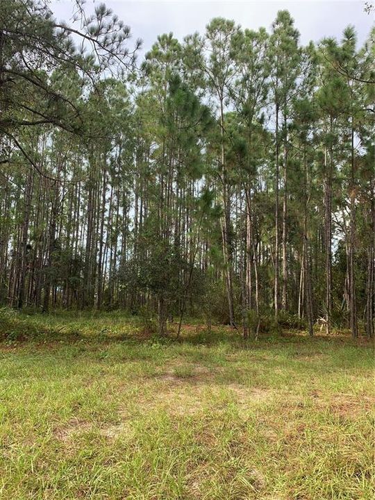 Active With Contract: $79,999 (0.53 acres)