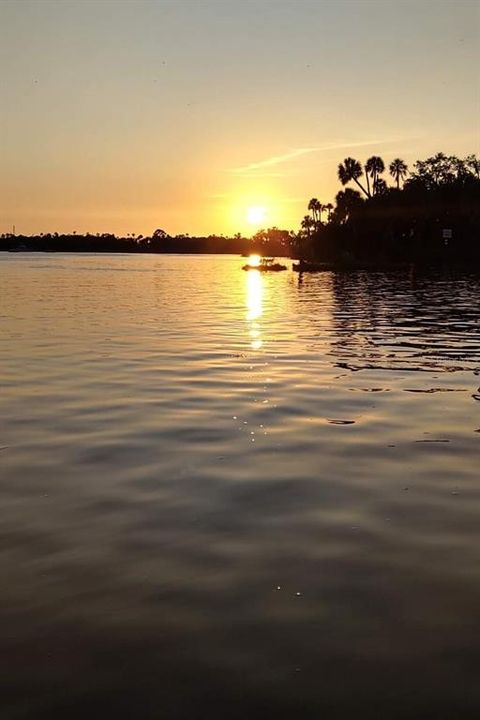 Amazing Sunset Cruises from Crystal River