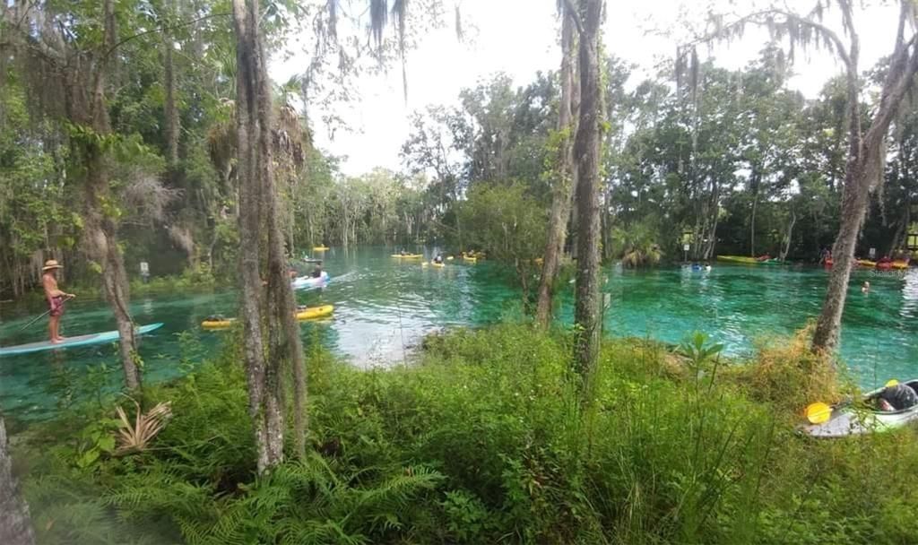 Local Swimming Hole - Three Sisters Springs. It's a short boatride to the entrance of the springs. Anchor there and either swim, kayak or paddleboard into the crystal clear lagoon.