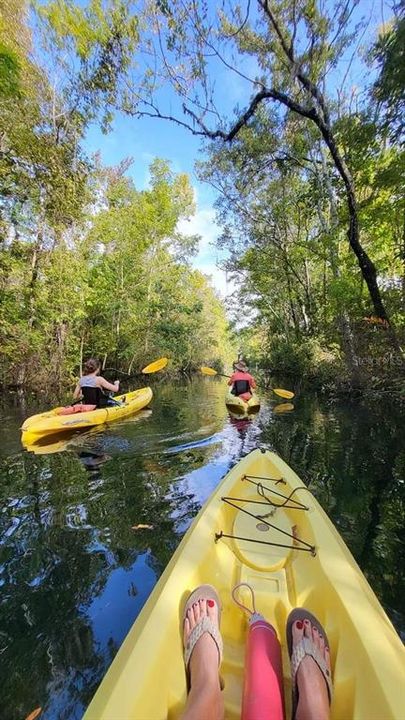 Launch your Kayak near Three Sisters Spring and swim with the Manatees