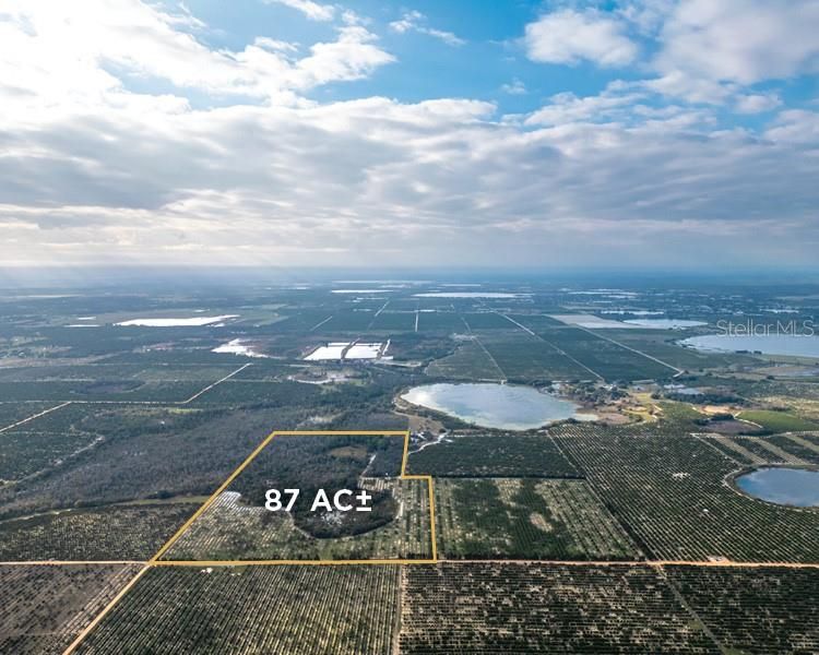 For Sale: $699,000 (87.13 acres)