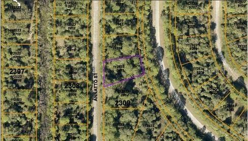 For Sale: $29,500 (0.29 acres)