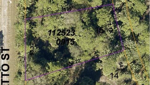 For Sale: $29,500 (0.29 acres)