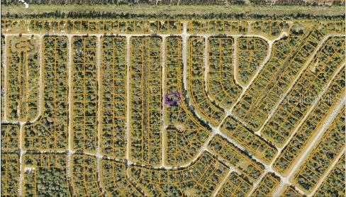 For Sale: $29,500 (0.29 acres)