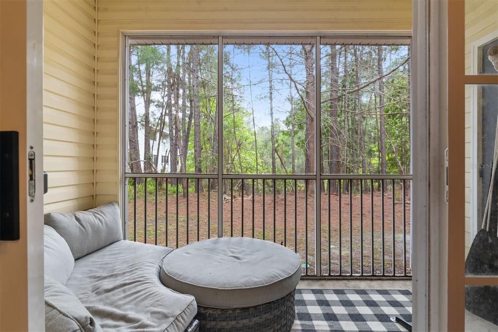 Screened Patio