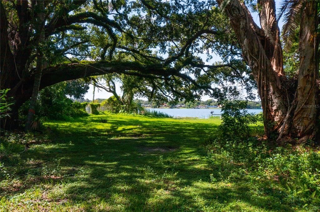 Majestic Legacy Oak Trees Create a Perfect Canopy Framing the Lake View