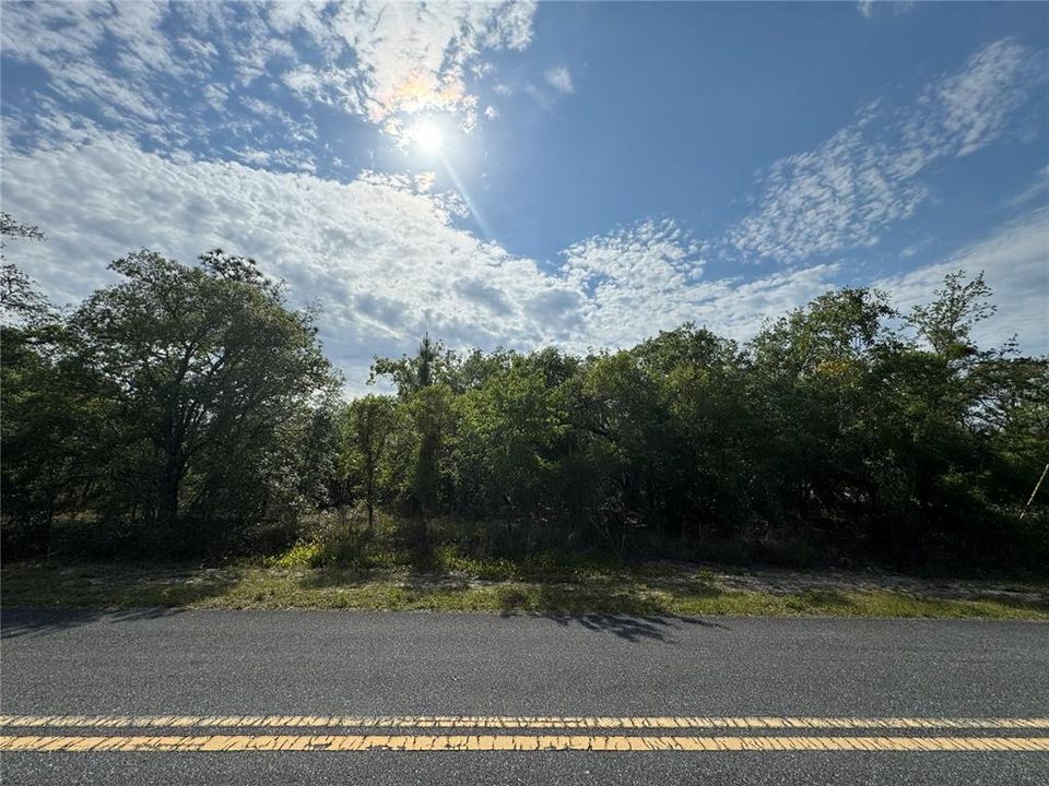 Active With Contract: $23,000 (0.99 acres)