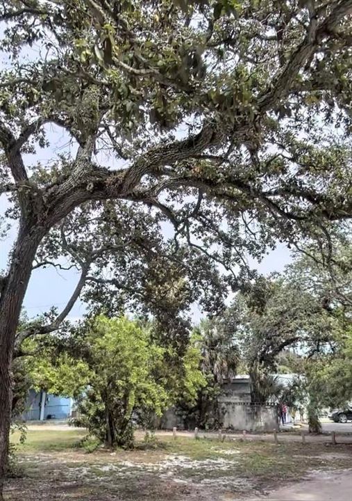 Vendido Recientemente: $89,999 (0.08 acres)