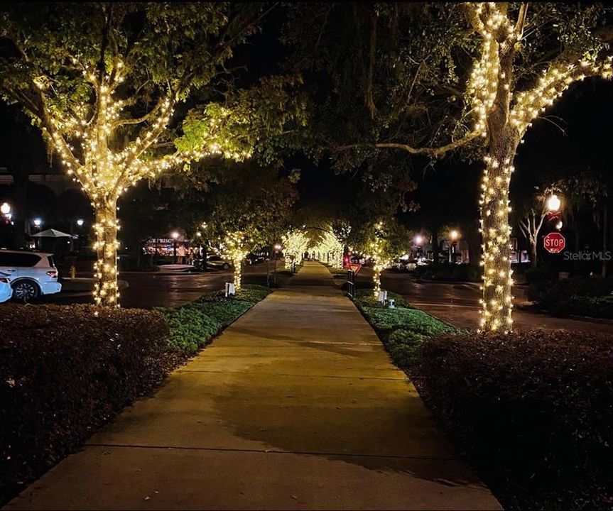 West Orange Trail lit up for the holidays through downtown.