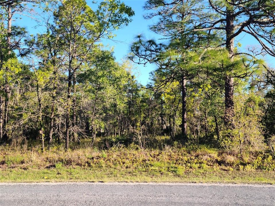 Recently Sold: $29,000 (0.67 acres)