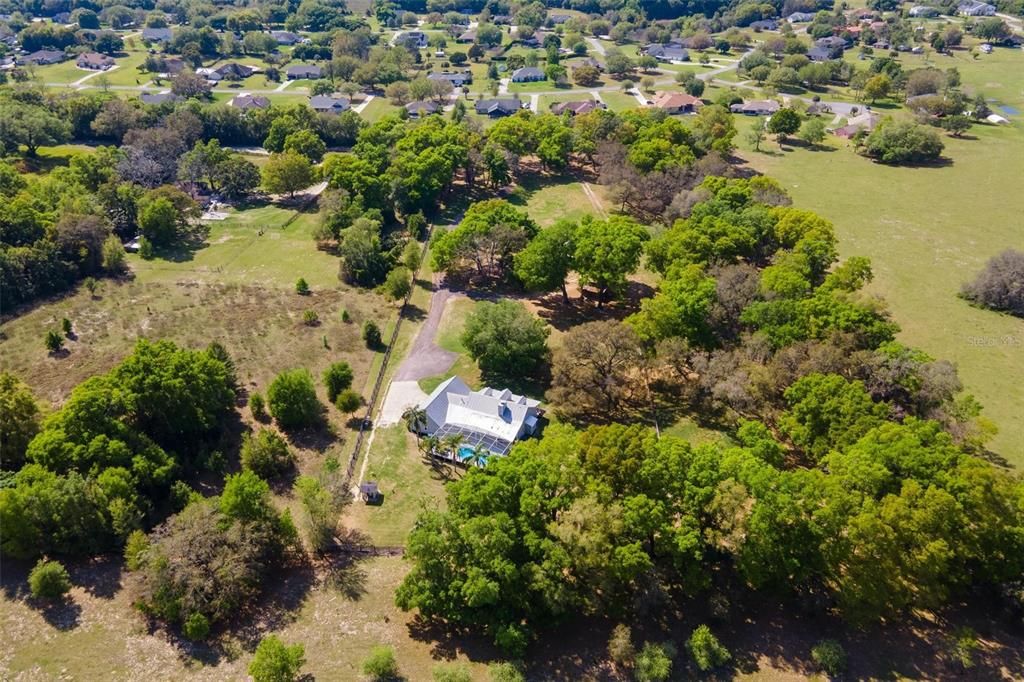 Surrounded by oaks