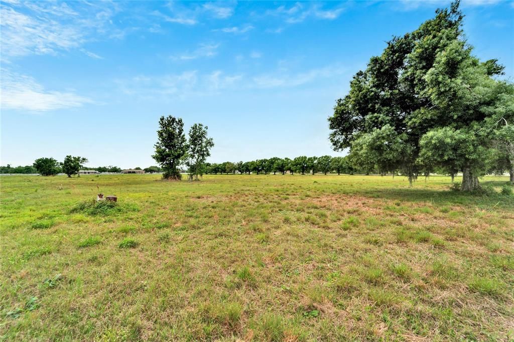 For Sale: $725,000 (10.00 acres)