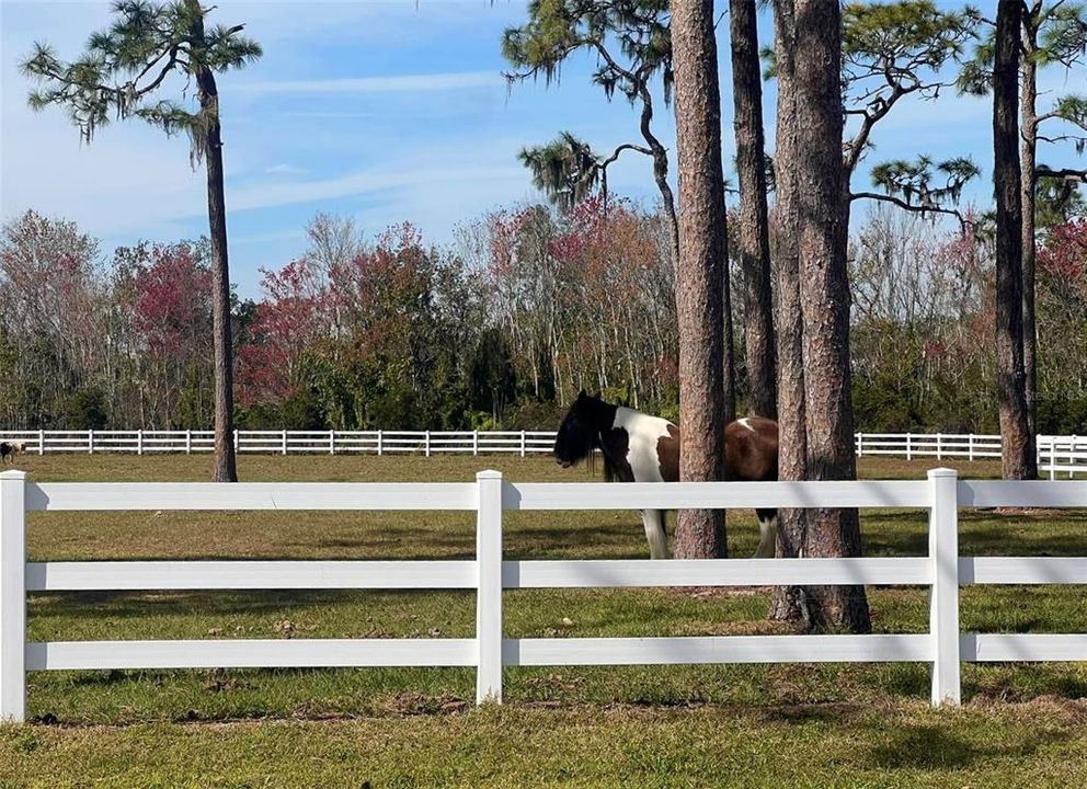 For Sale: $725,000 (10.00 acres)