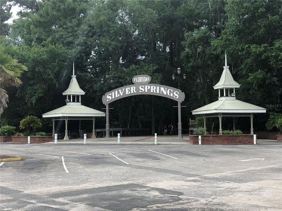 Silver Springs State Park.