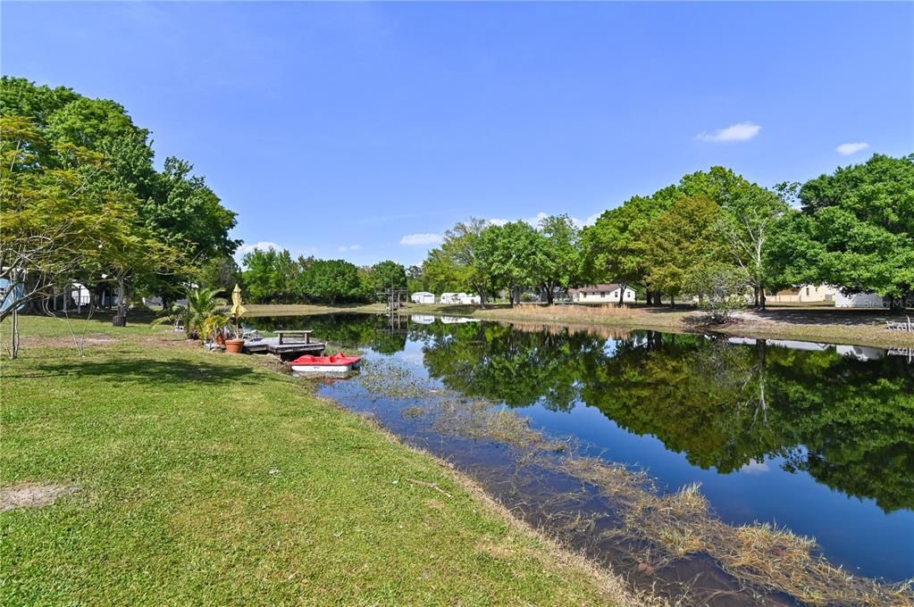 Backyard Pond-View