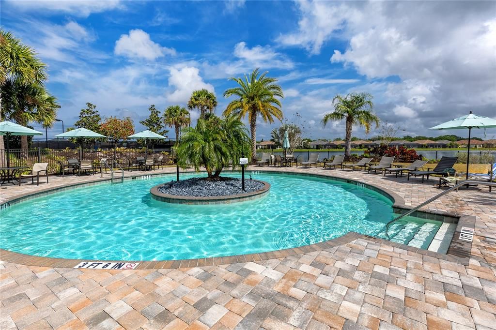 Island Oasis in the Pool