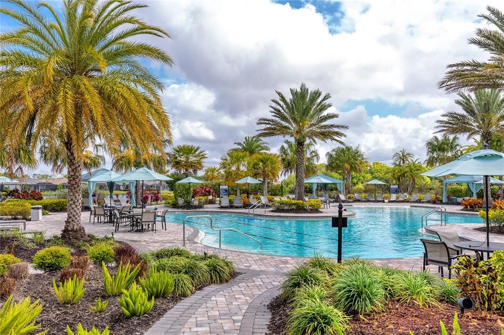 Resort Style Pool