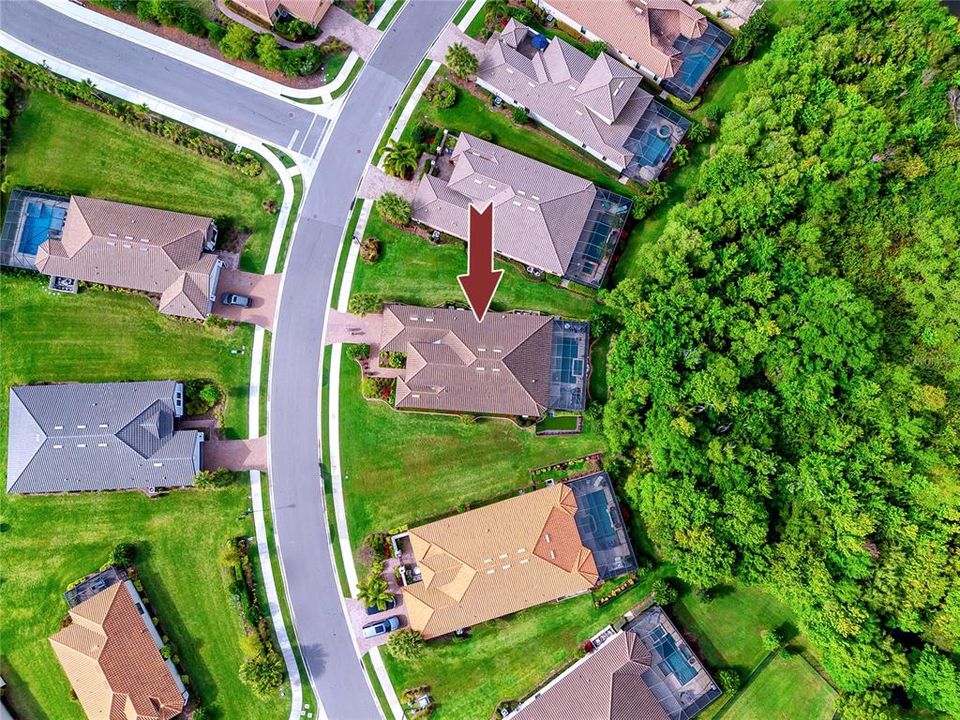 Homes Surrounding the Conservation Area