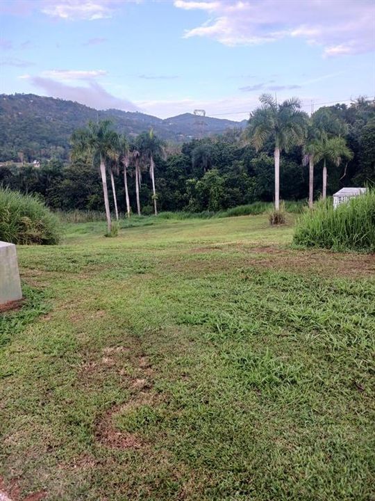 En Venta: $145,000 (0.03 acres)