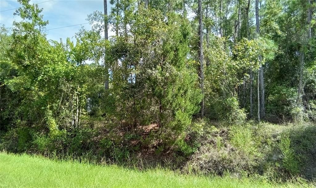 Recently Sold: $27,450 (1.10 acres)