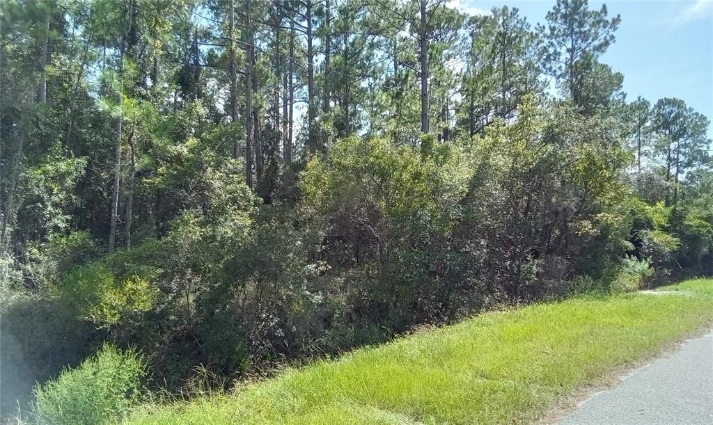 Recently Sold: $27,450 (1.10 acres)