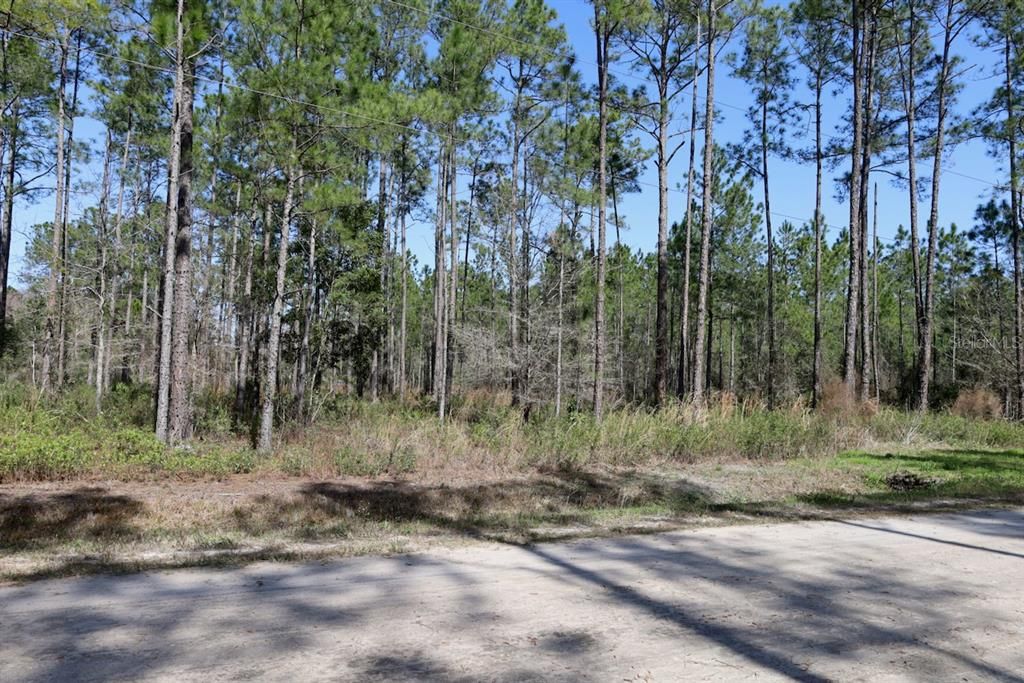 Active With Contract: $39,900 (1.14 acres)