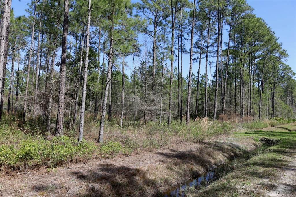 Active With Contract: $39,900 (1.14 acres)