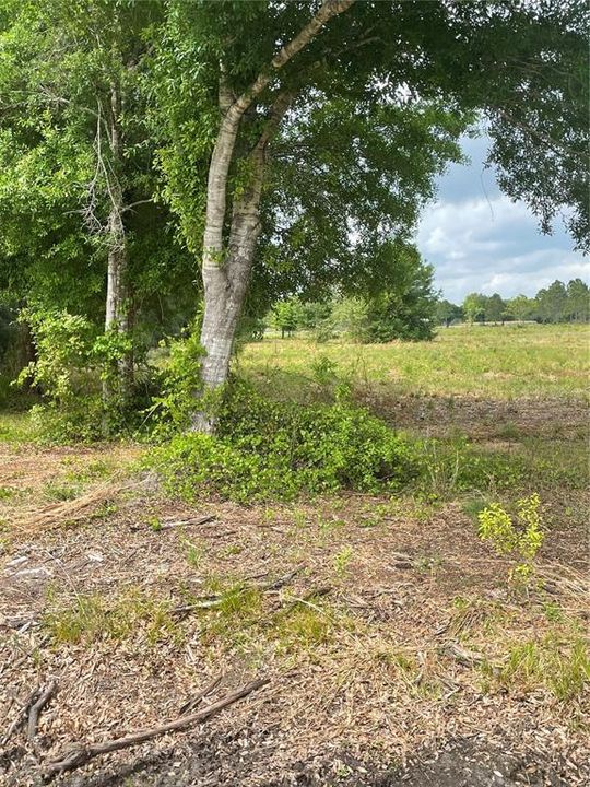 Recently Sold: $69,000 (2.40 acres)