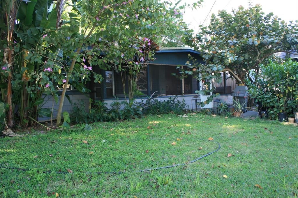 Front Elevation