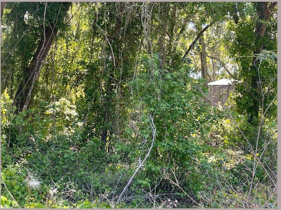 En Venta: $78,000 (0.74 acres)