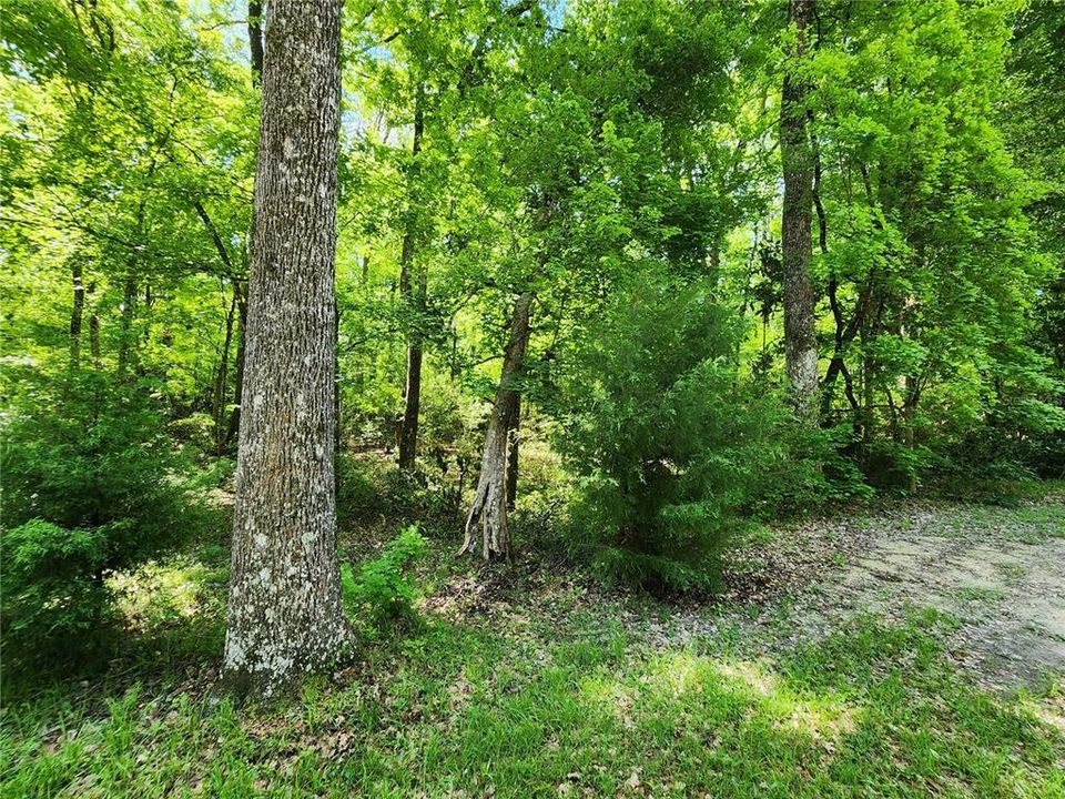 Active With Contract: $50,000 (1.84 acres)