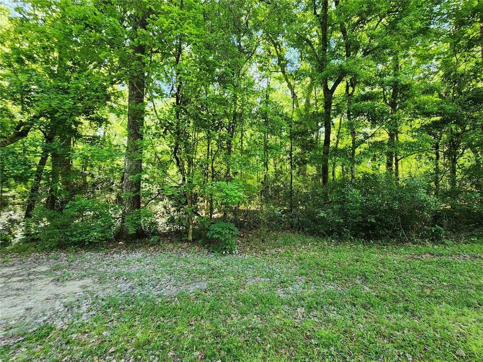 Active With Contract: $50,000 (1.84 acres)