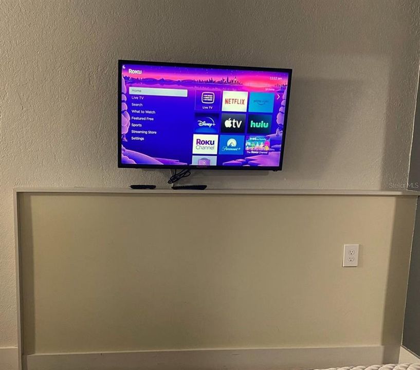 Mounted TV