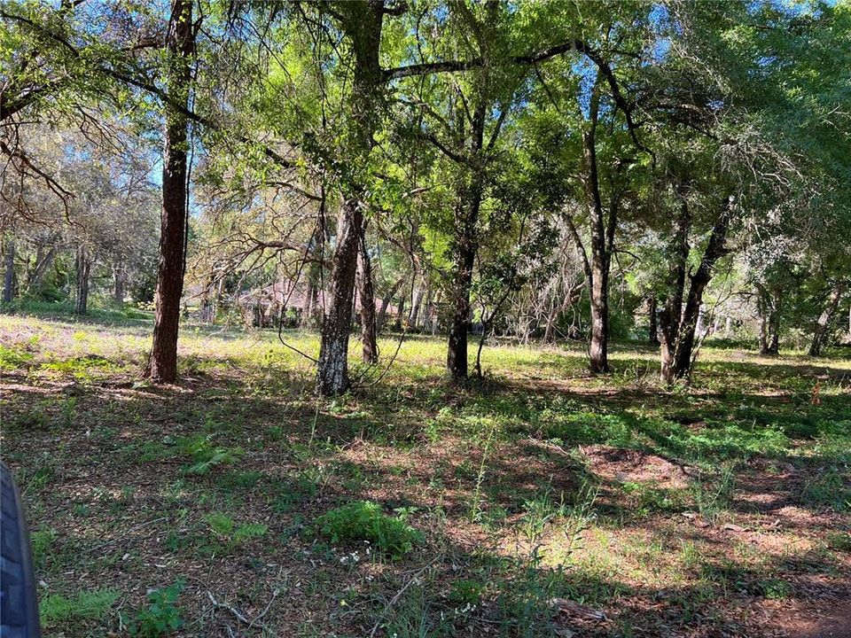 Active With Contract: $35,000 (0.26 acres)