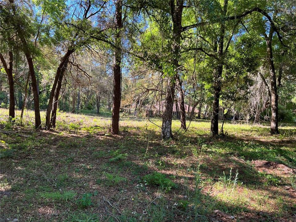 Active With Contract: $35,000 (0.26 acres)