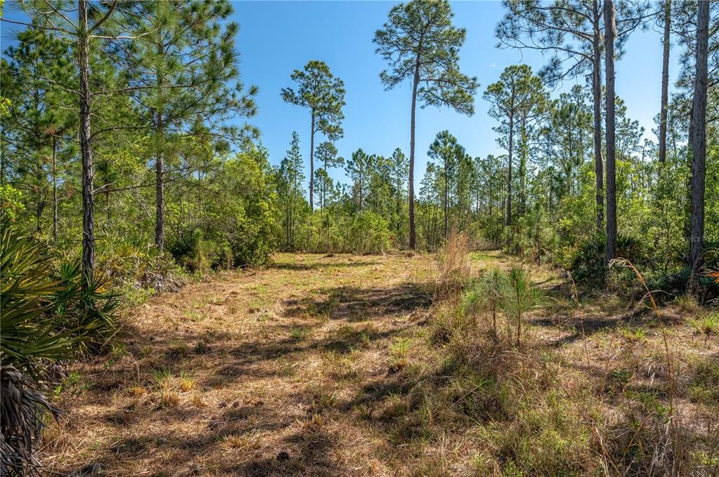 Recently Sold: $95,000 (1.37 acres)