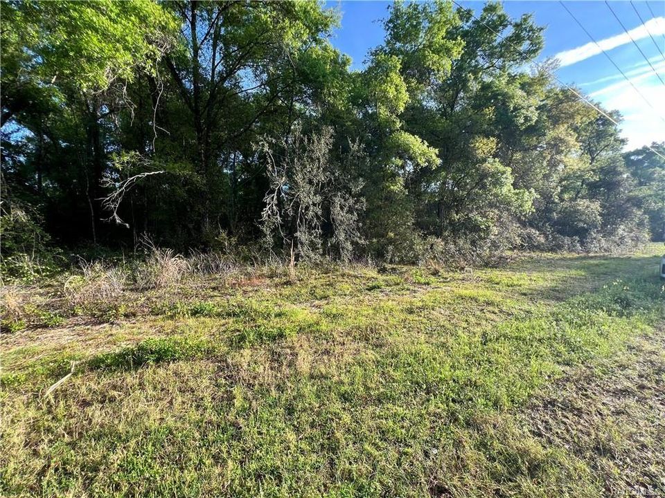 Recently Sold: $16,900 (0.44 acres)