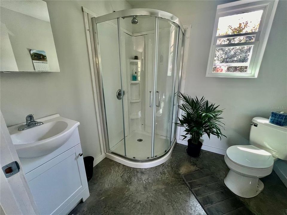 Walk-in shower with enclosure