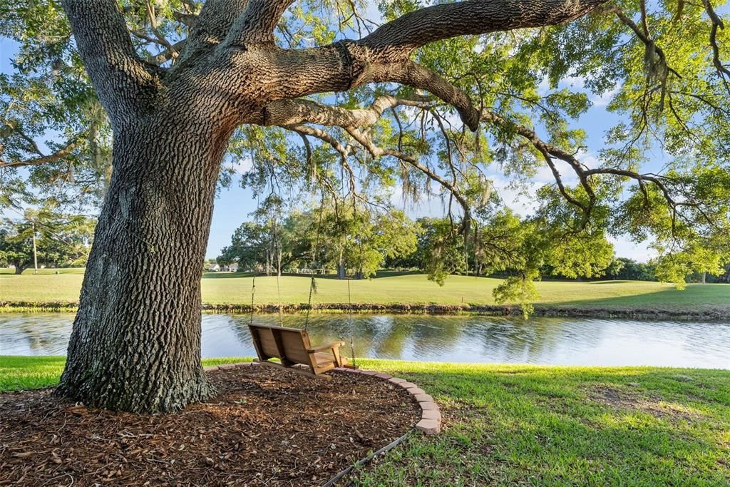 Take in the nature and beautiful sunsets from your private swing