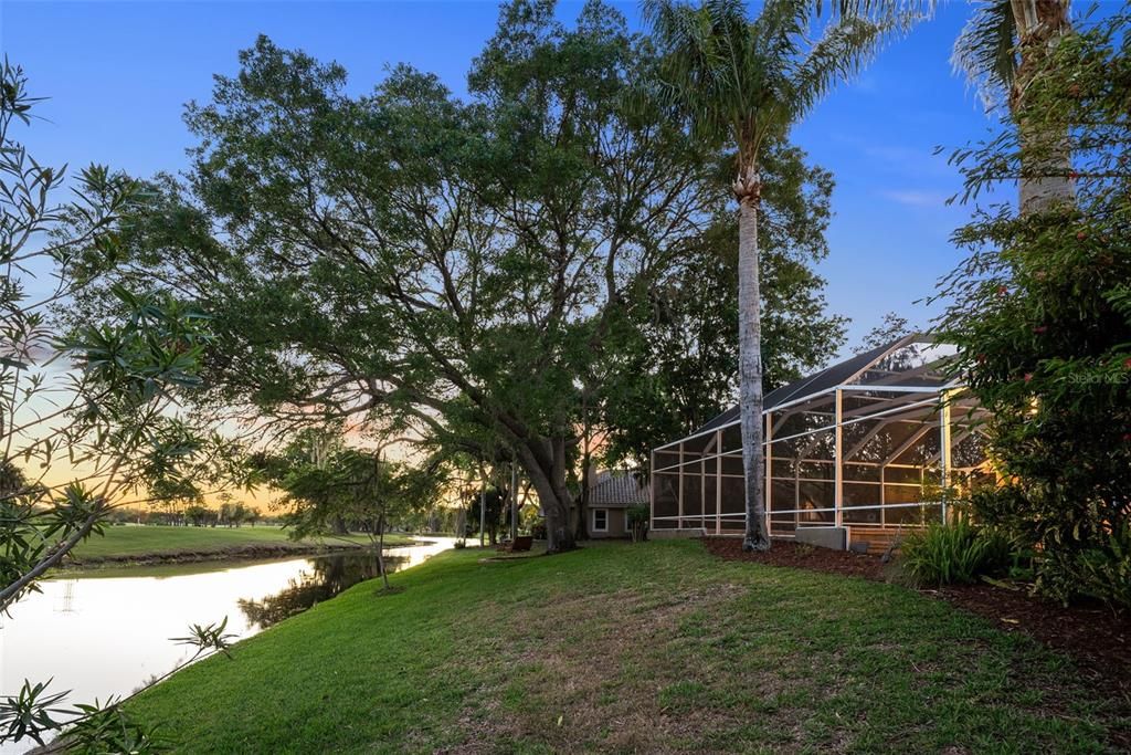 Very private backyard - Complete with daily encounters with nature.