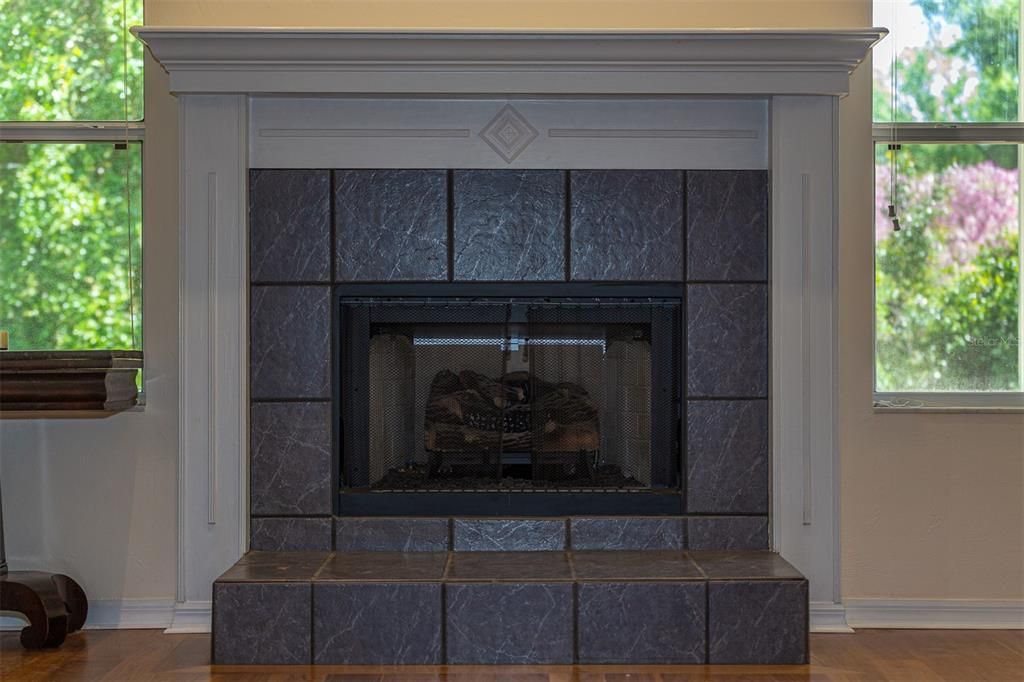 Gas fireplace