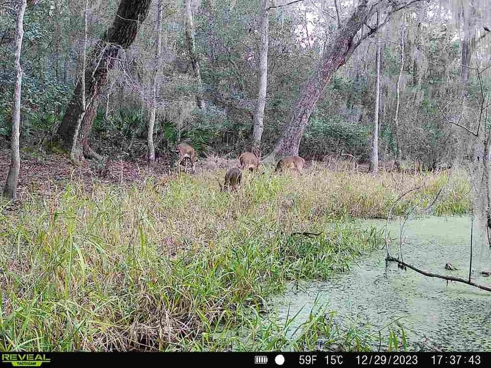 Vendido Recientemente: $175,800 (9.60 acres)