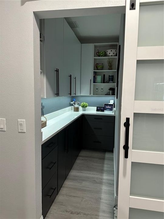 Pantry with Accent Lighting