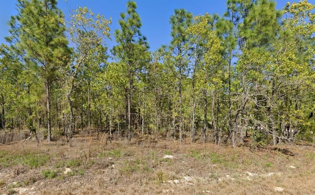 Recently Sold: $32,000 (0.48 acres)