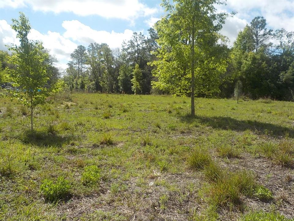 Recently Sold: $33,000 (1.25 acres)